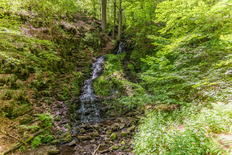TD46223-HDR