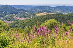 Goldlauter-Heidersbach