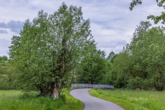 Schwaza Brücke mit Weide