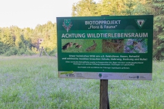 Wald Hobbyjagd Jägerlüge