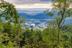 Wald Suhl Blick vom Erleshügel