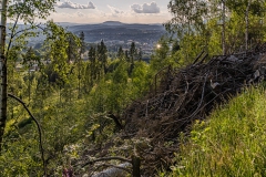 Suhl von Brand und Döllberg