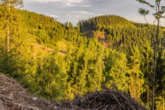 Suhl von Brand und Döllberg