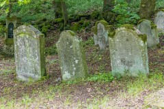 Jüdischer Friedhof Aschenhausen;