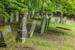 Jüdischer Friedhof Aschenhausen;