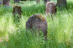 Jüdischer Friedhof Bauerbach
