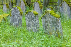 Jüdischer Friedhof Dreißigacker