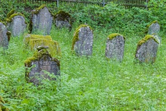 Jüdischer Friedhof Dreißigacker