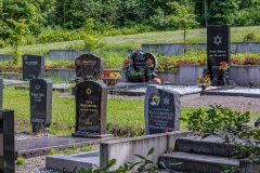 Jüdischer Friedhof Erfurt