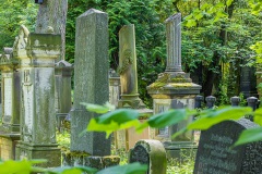 Jüdischer Friedhof Erfurt