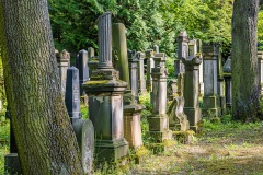 Jüdischer Friedhof Erfurt