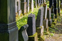 Jüdischer Friedhof Erfurt
