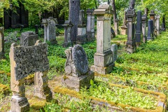 Jüdischer Friedhof Erfurt