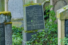 Jüdischer Friedhof Gleicherwiesen