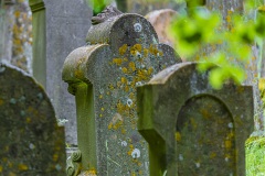 Jüdischer Friedhof Gleicherwiesen