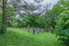 Jüdischer Friedhof Gleicherwiesen