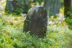 Jüdischer Friedhof Suhl-Heinrichs