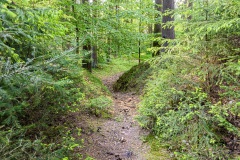Jüdischer Friedhof Suhl-Heinrichs