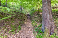 Jüdischer Friedhof Suhl-Heinrichs