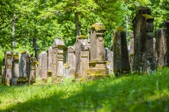 Jüdischer Friedhof Kleinbardorf