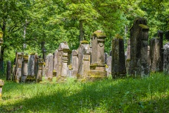 Jüdischer Friedhof Kleinbardorf