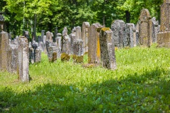 Jüdischer Friedhof Kleinbardorf
