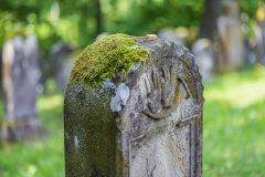 Jüdischer Friedhof Kleinbardorf