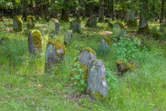 Jüdischer Friedhof Kleinbardorf