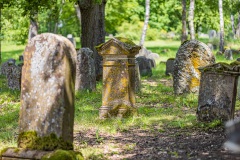Jüdischer Friedhof Kleinbardorf