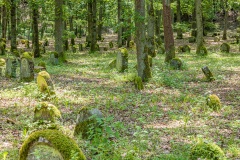 Jüdischer Friedhof Kleinbardorf
