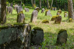 Jüdischer Friedhof Kleinbardorf