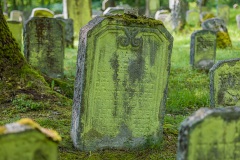 Jüdischer Friedhof Kleinbardorf