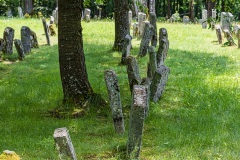 Jüdischer Friedhof Kleinbardorf