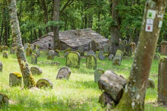 Jüdischer Friedhof Kleinbardorf