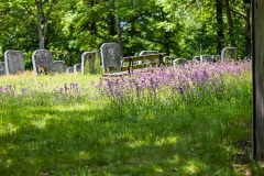 Jüdischer Friedhof Kleinbardorf