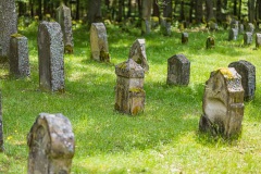 Jüdischer Friedhof Kleinbardorf