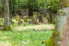 Jüdischer Friedhof Kleinbardorf