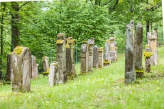 Jüdischer Friedhof Kleinbardorf