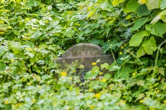 Jüdischer Friedhof Plaue