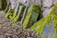 Jüdischer Friedhof Schleusingen
