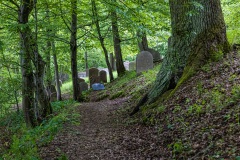 Jüdischer Friedhof Schwarza