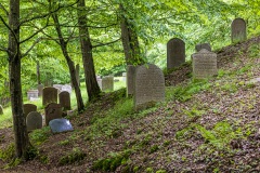 Jüdischer Friedhof Schwarza