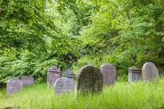 Jüdischer Friedhof Schwarza