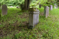 Jüdischer Friedhof Schwarza