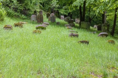 Jüdischer Friedhof Schwarza