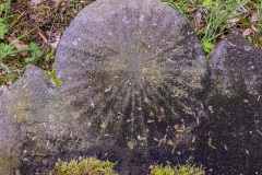 Jüdischer Friedhof Schwarza
