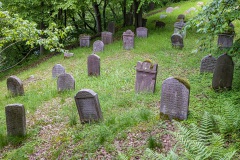 Jüdischer Friedhof Schwarza