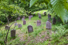 Jüdischer Friedhof Schwarza