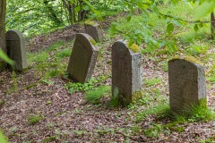 Jüdischer Friedhof Schwarza