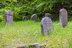 Jüdischer Friedhof Schwarza